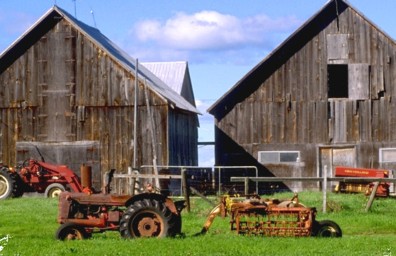 farm